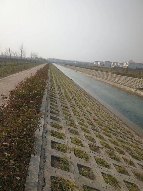 生態擋土磚 護坡植草與互鎖設計的專業定制指南